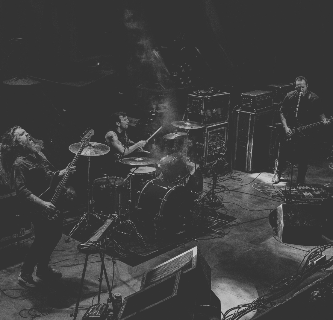 In the Company of Serpents performing live